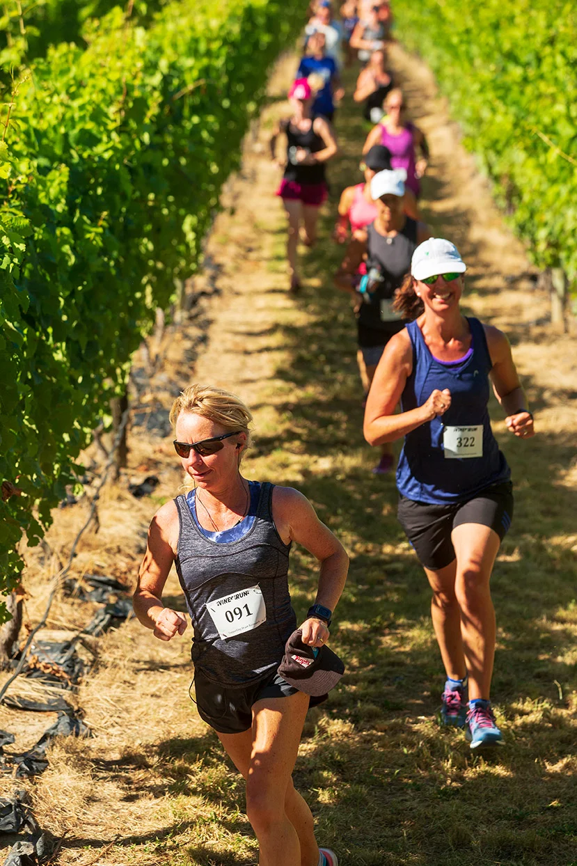Pegbay_2019_Vinerun_029.jpg