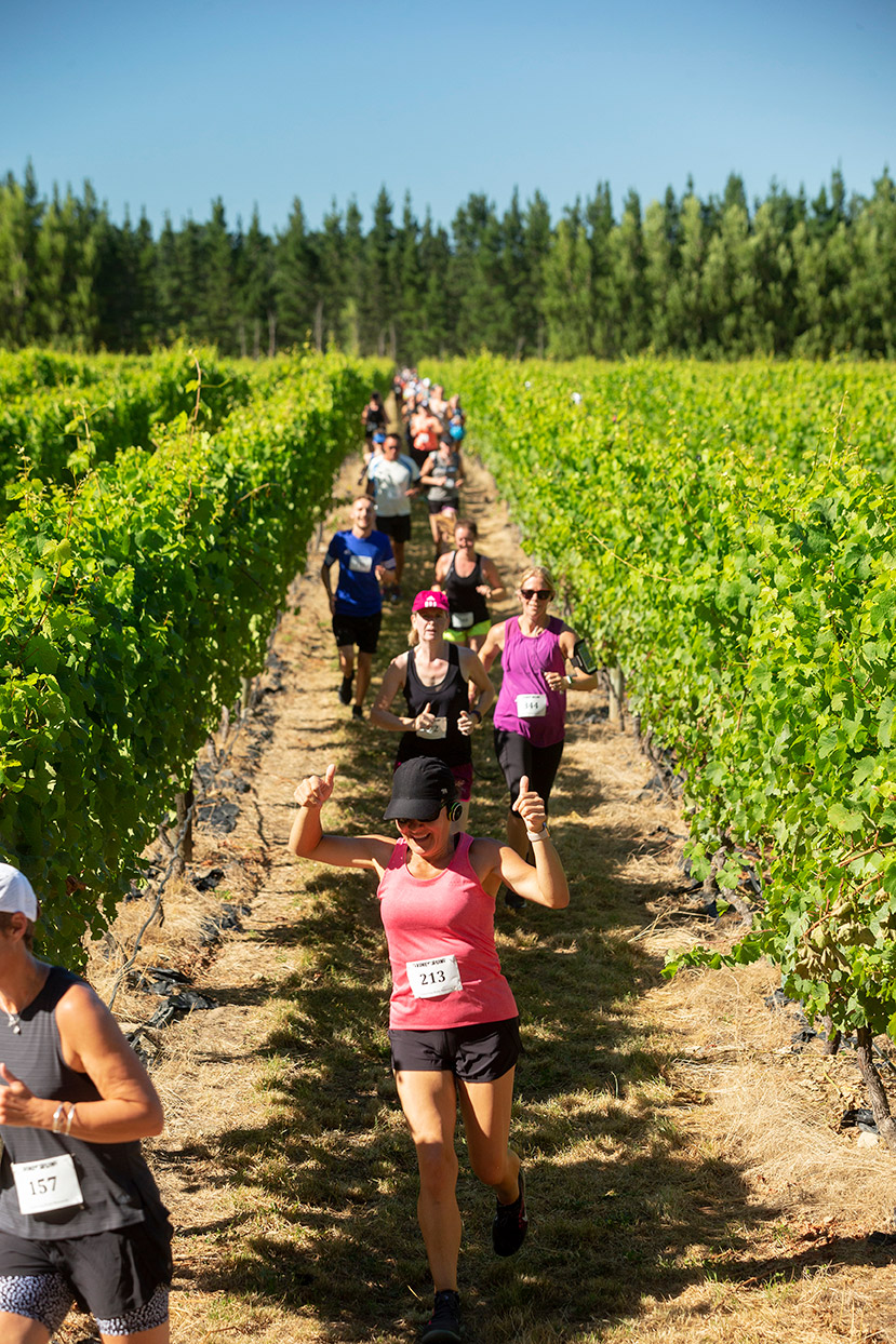 Pegbay_2019_Vinerun_031.jpg