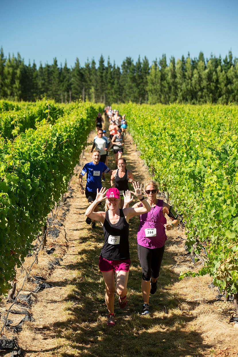 Pegbay_2019_Vinerun_032.jpg