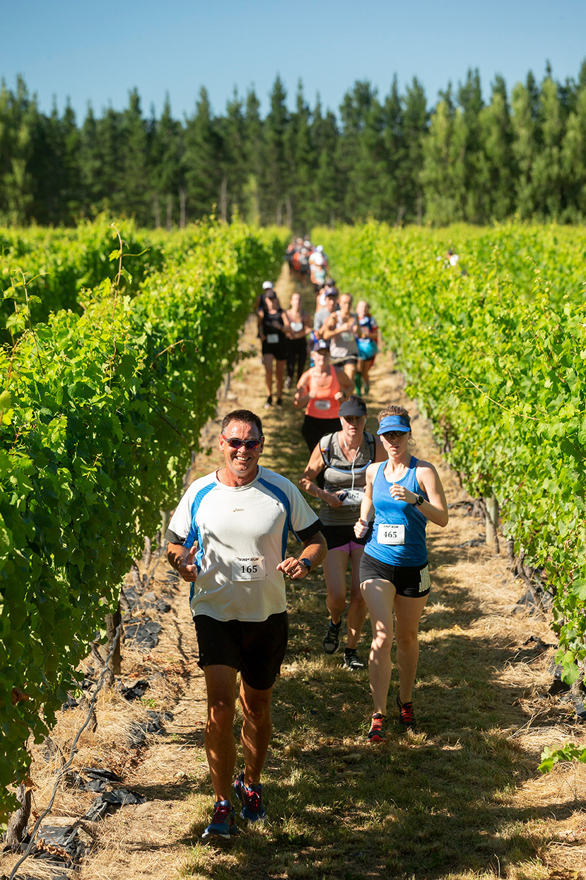 Pegbay_2019_Vinerun_037.jpg