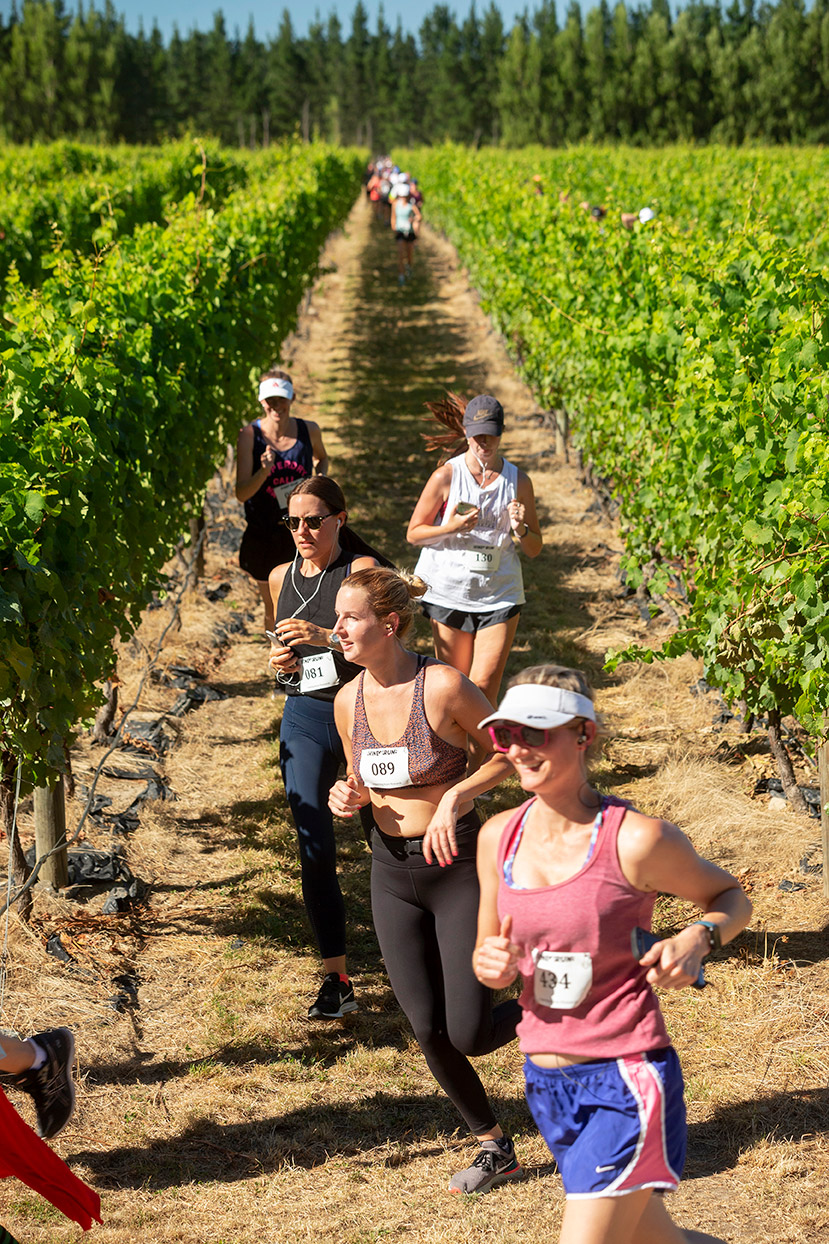 Pegbay_2019_Vinerun_043.jpg