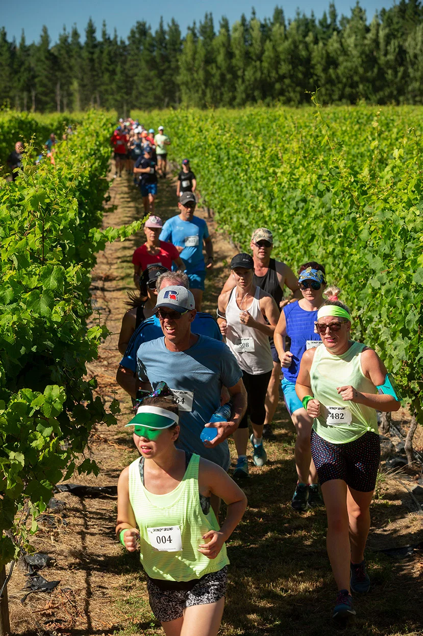 Pegbay_2019_Vinerun_044.jpg