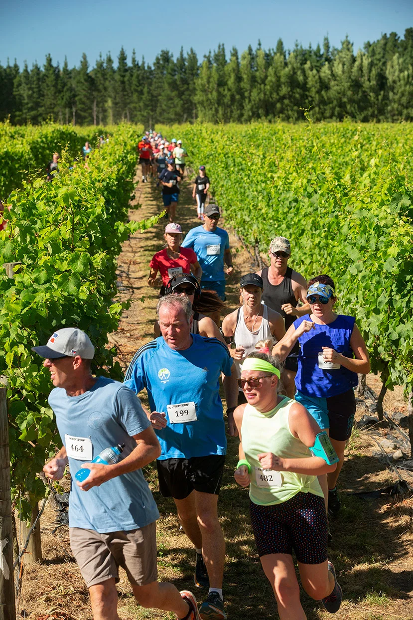 Pegbay_2019_Vinerun_045.jpg