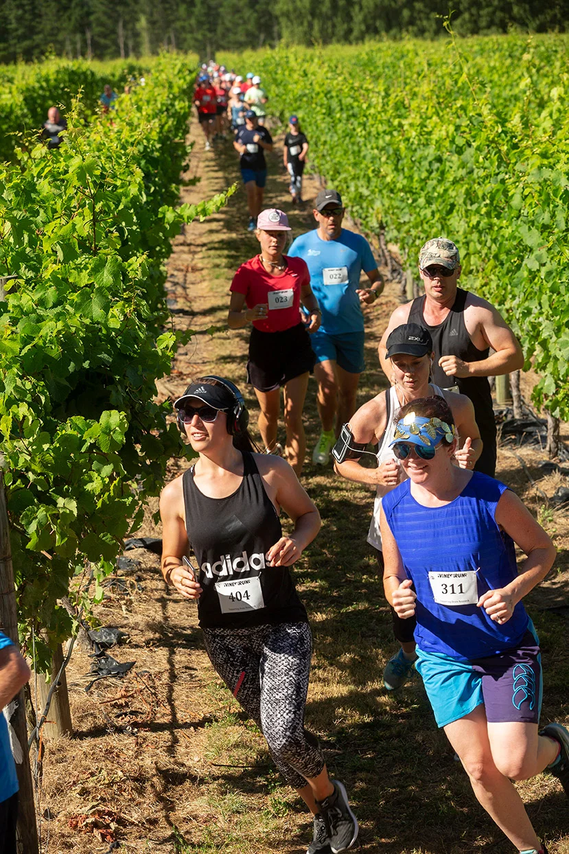 Pegbay_2019_Vinerun_046.jpg
