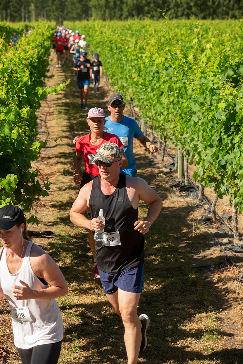 Pegbay_2019_Vinerun_047.jpg