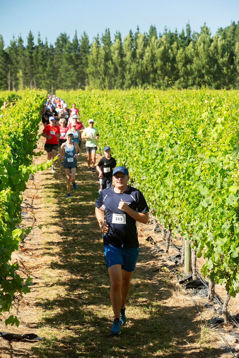 Pegbay_2019_Vinerun_048.jpg
