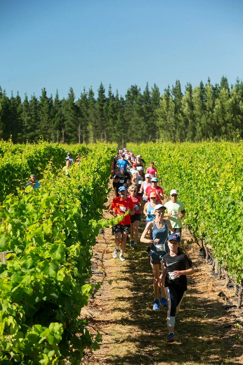 Pegbay_2019_Vinerun_049.jpg