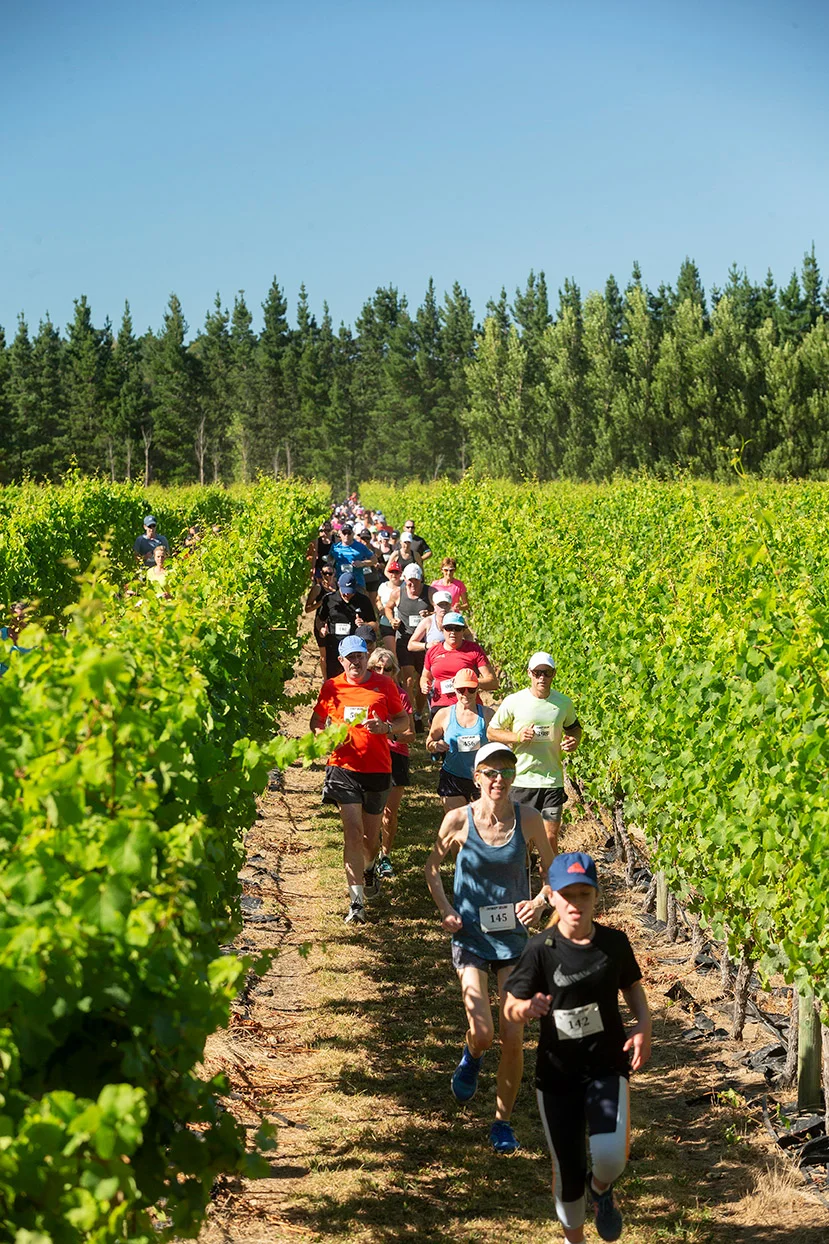 Pegbay_2019_Vinerun_050.jpg