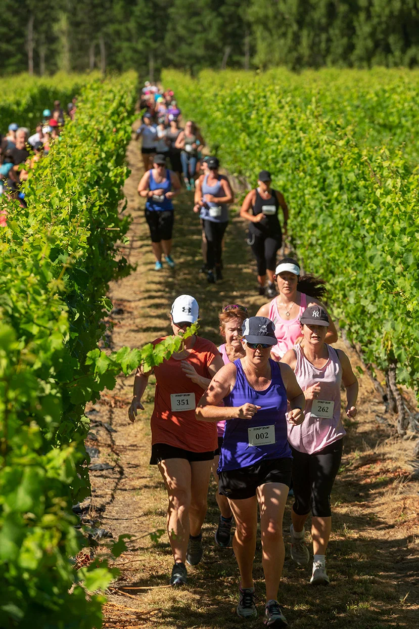 Pegbay_2019_Vinerun_055.jpg