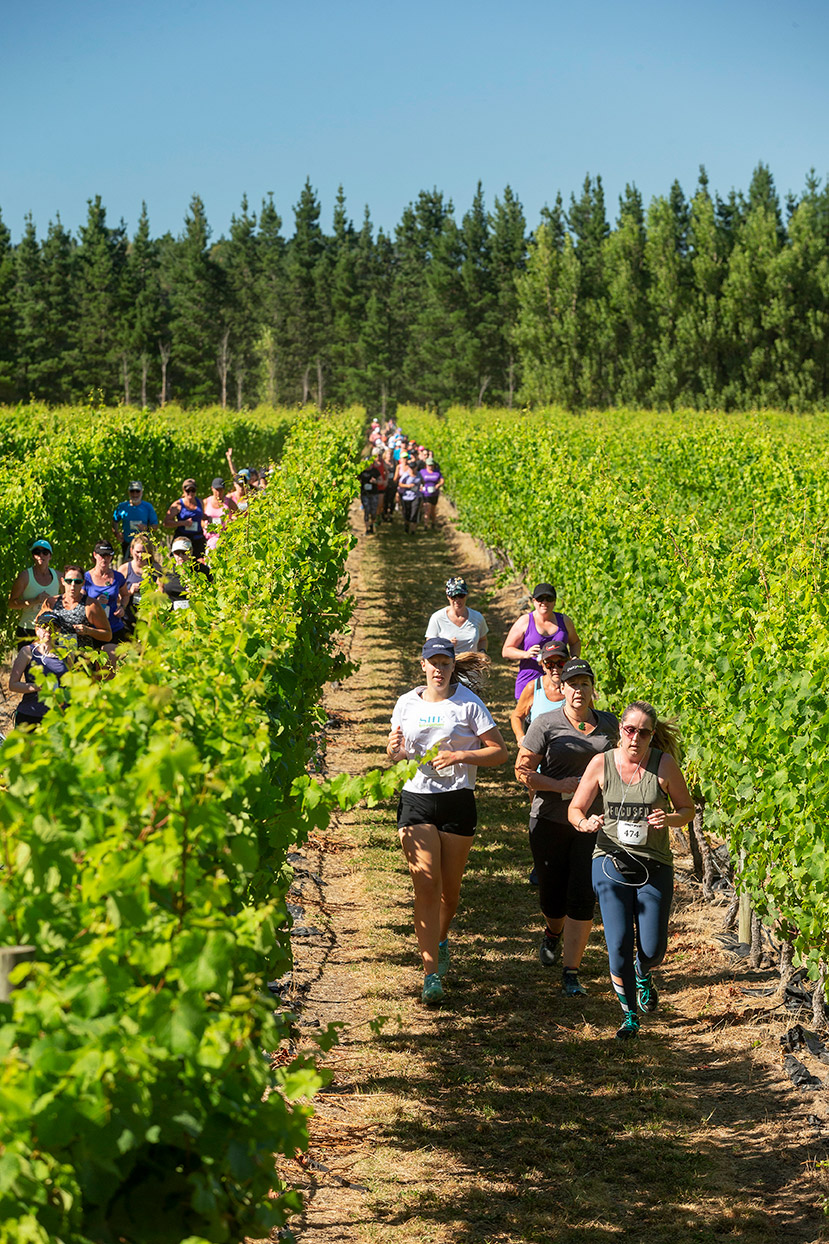 Pegbay_2019_Vinerun_057.jpg
