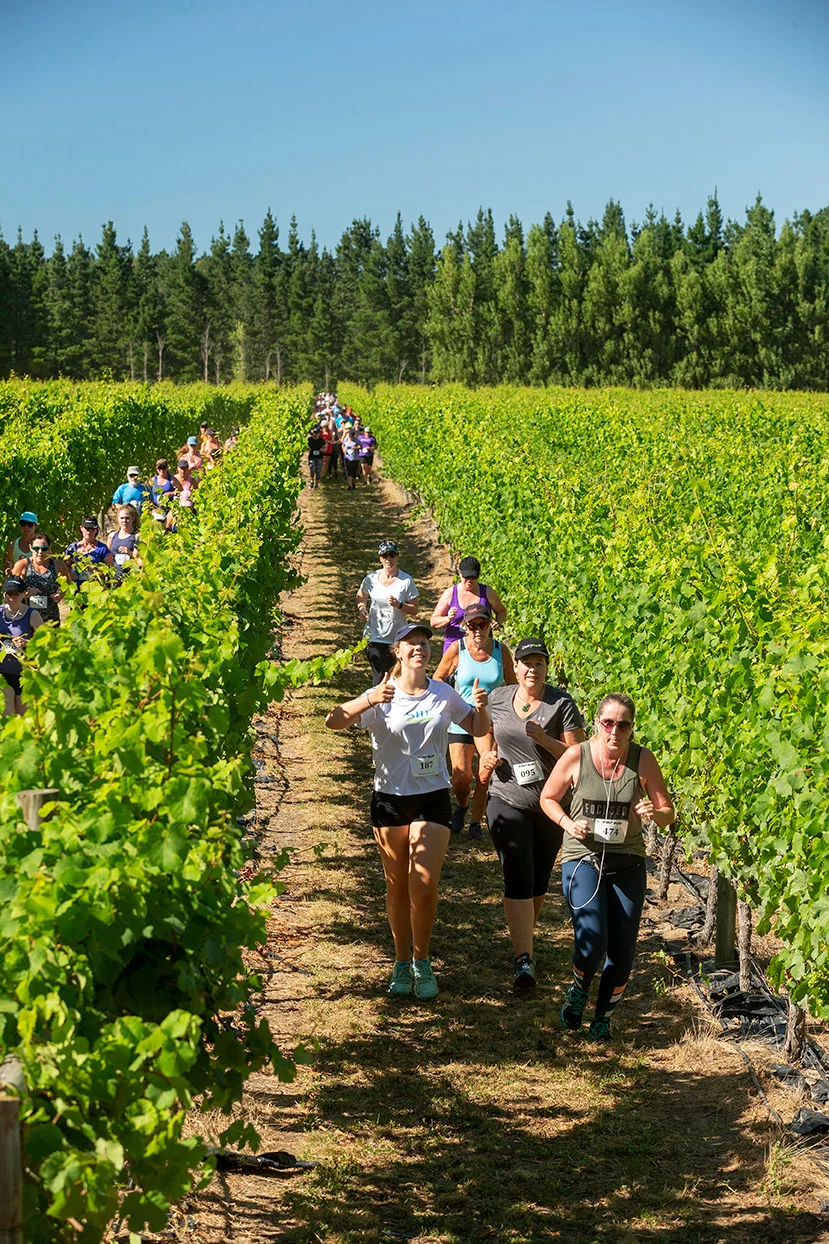 Pegbay_2019_Vinerun_058.jpg