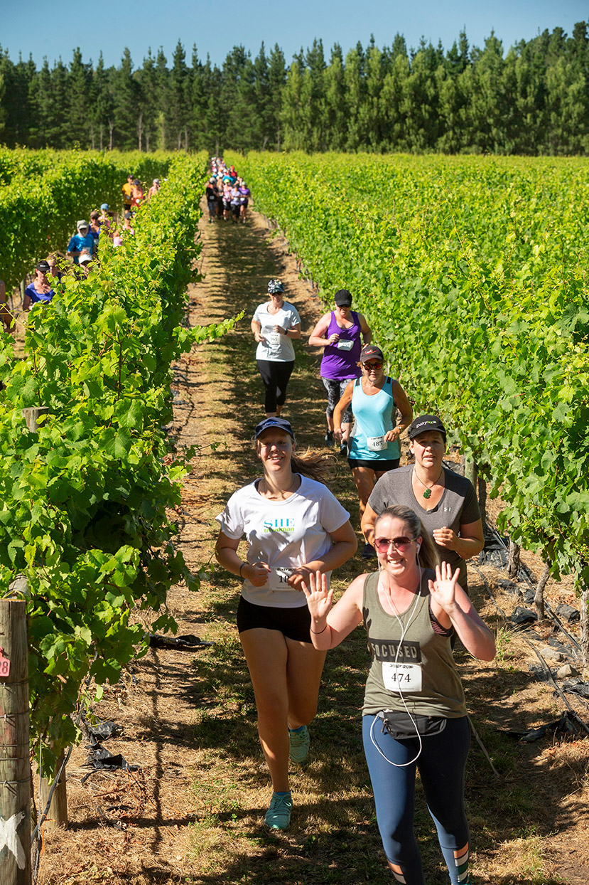 Pegbay_2019_Vinerun_059.jpg