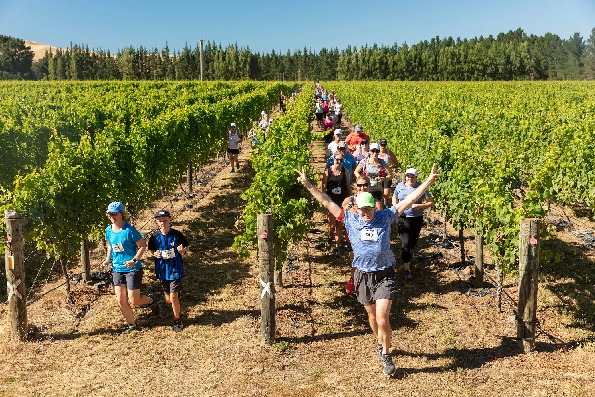 Pegbay_2019_Vinerun_068.jpg