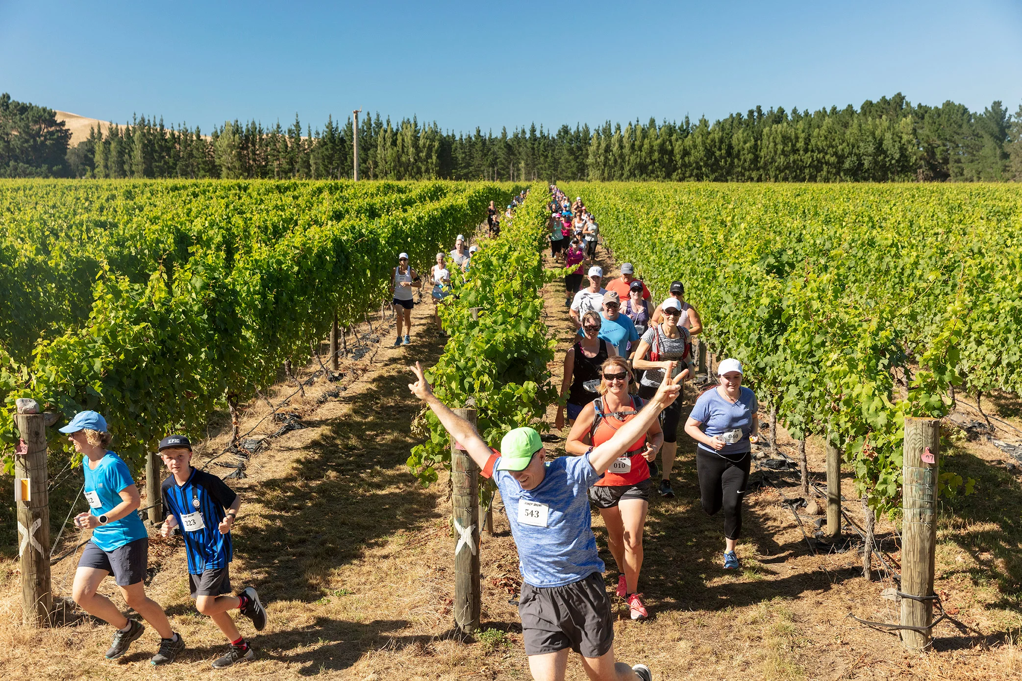 Pegbay_2019_Vinerun_069.jpg