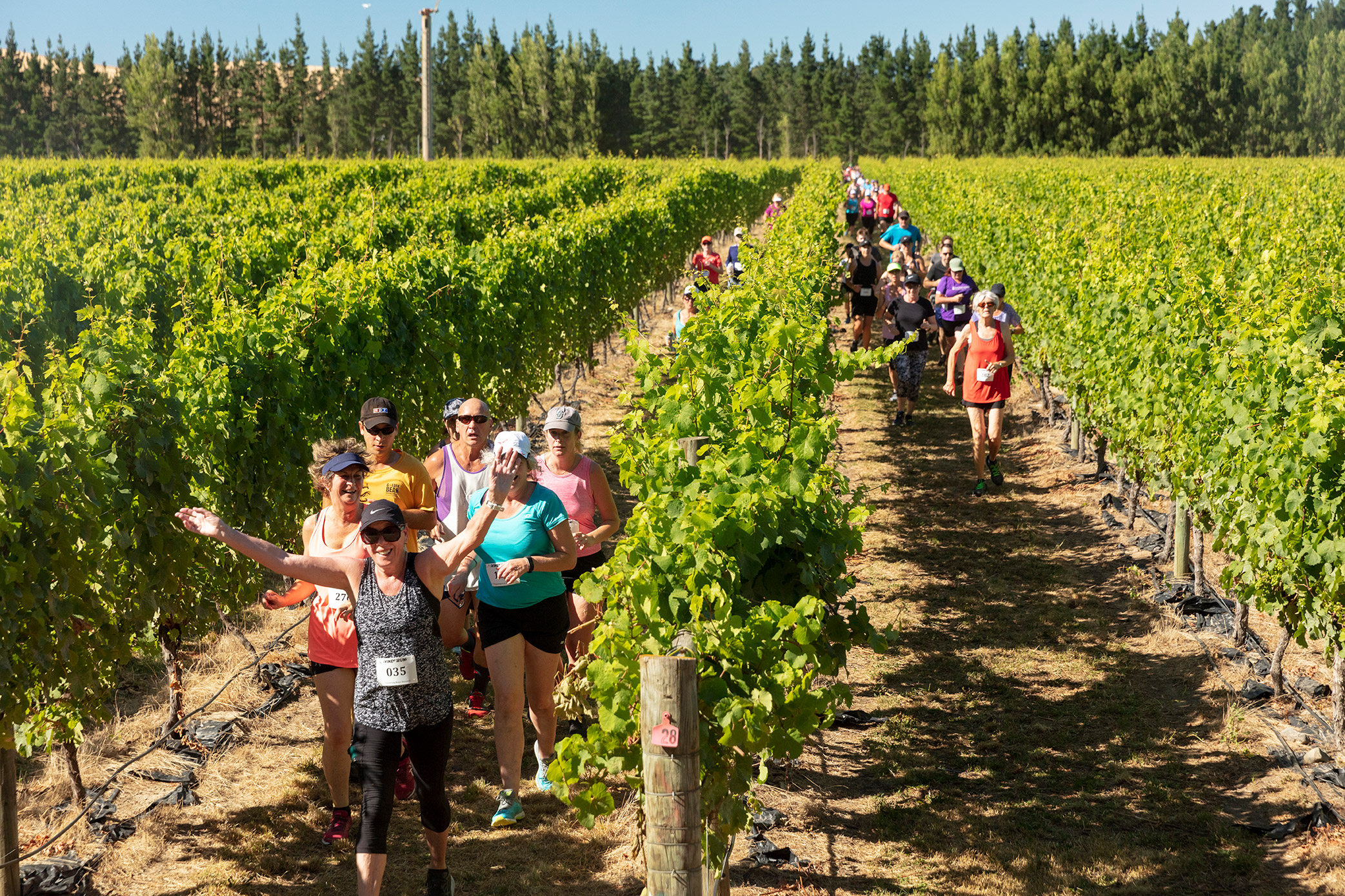 Pegbay_2019_Vinerun_072.jpg