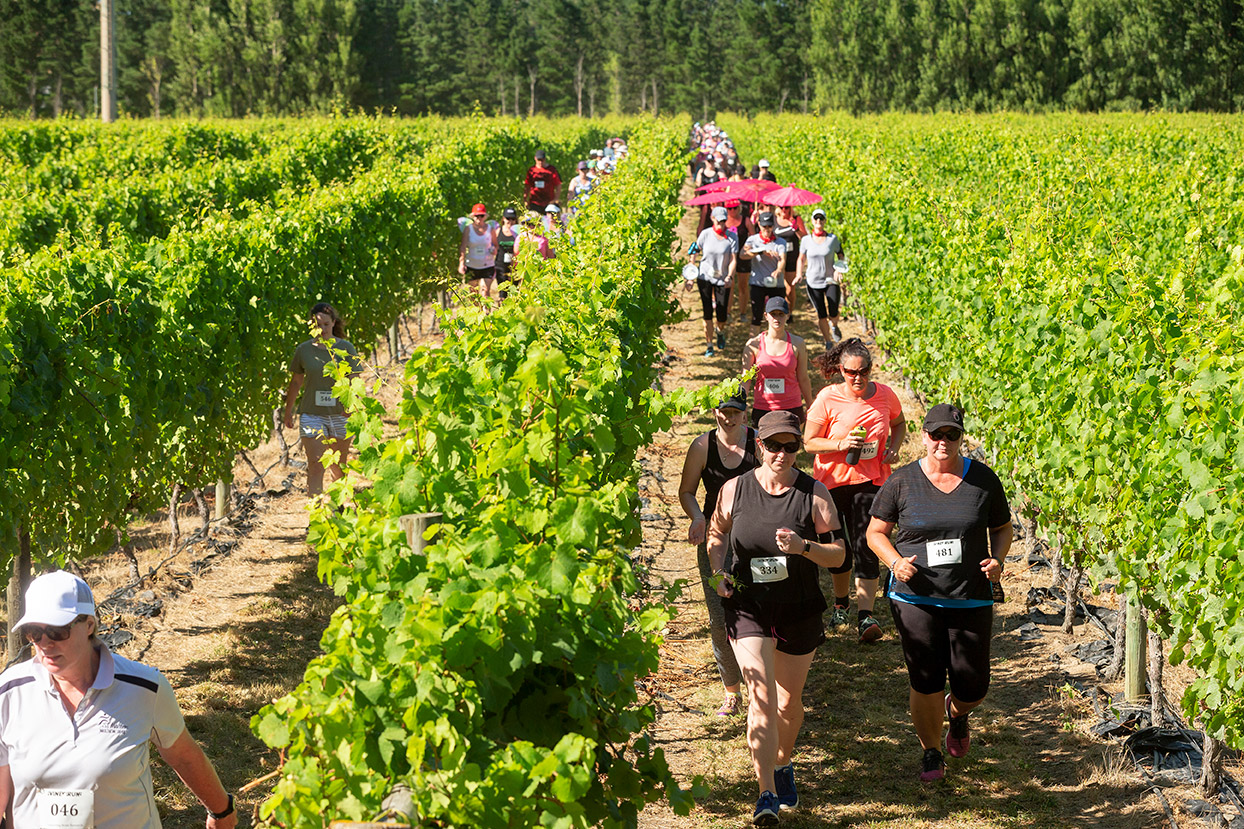 Pegbay_2019_Vinerun_080.jpg