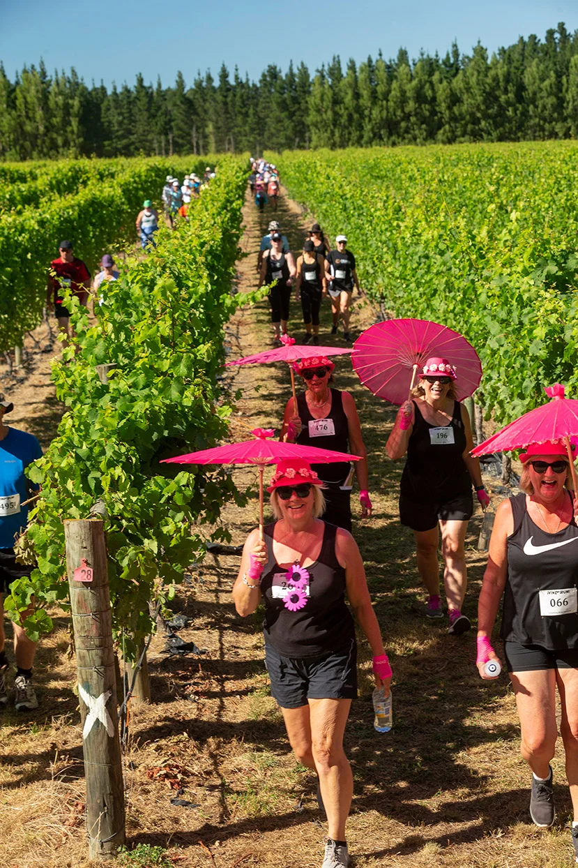 Pegbay_2019_Vinerun_088.jpg