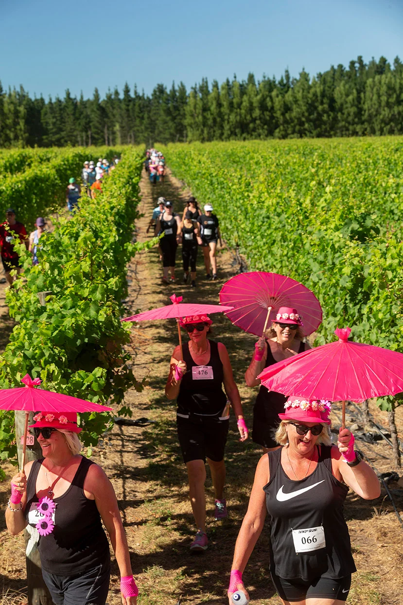Pegbay_2019_Vinerun_089.jpg