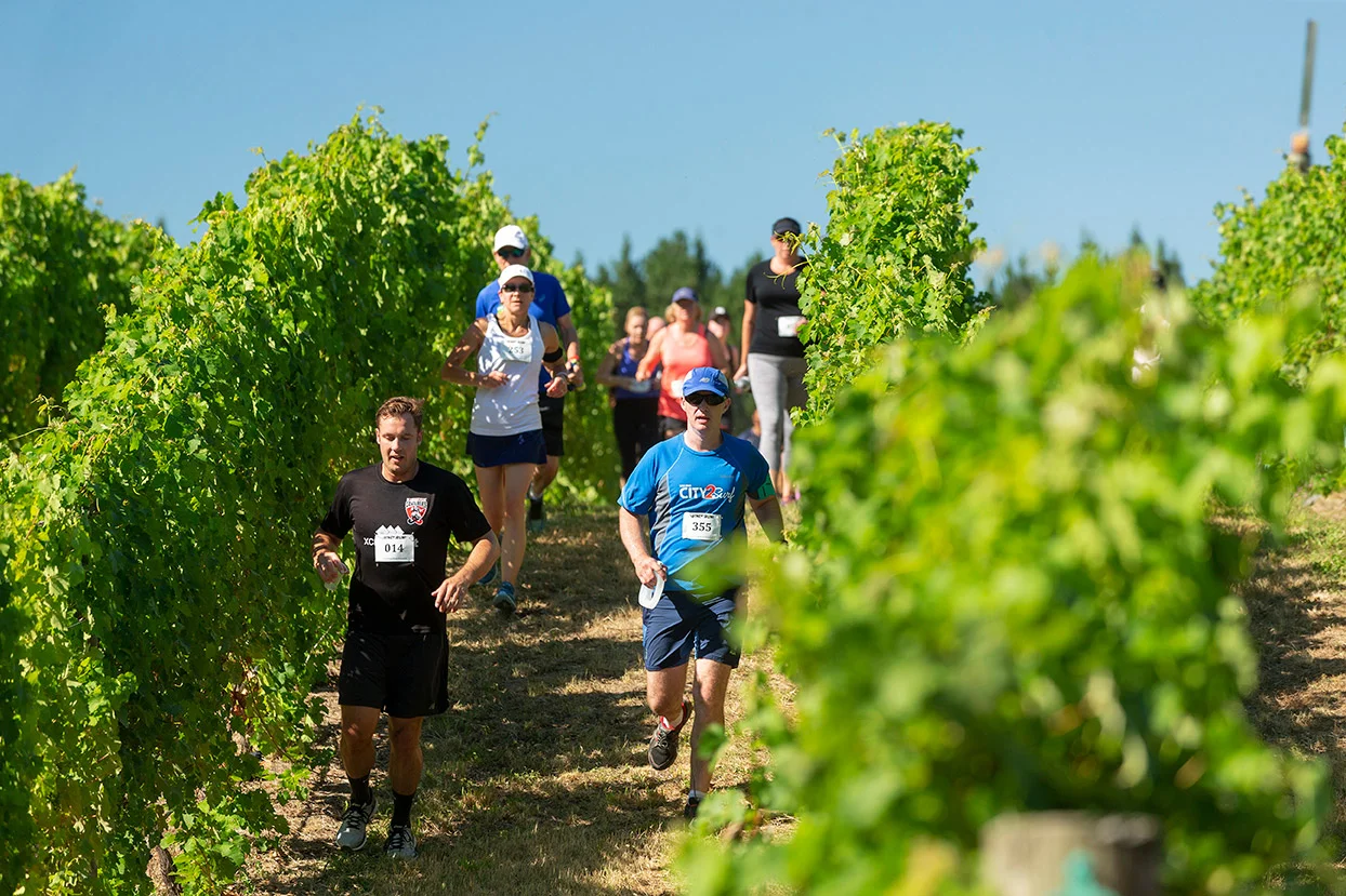 Pegbay_2019_Vinerun_114.jpg