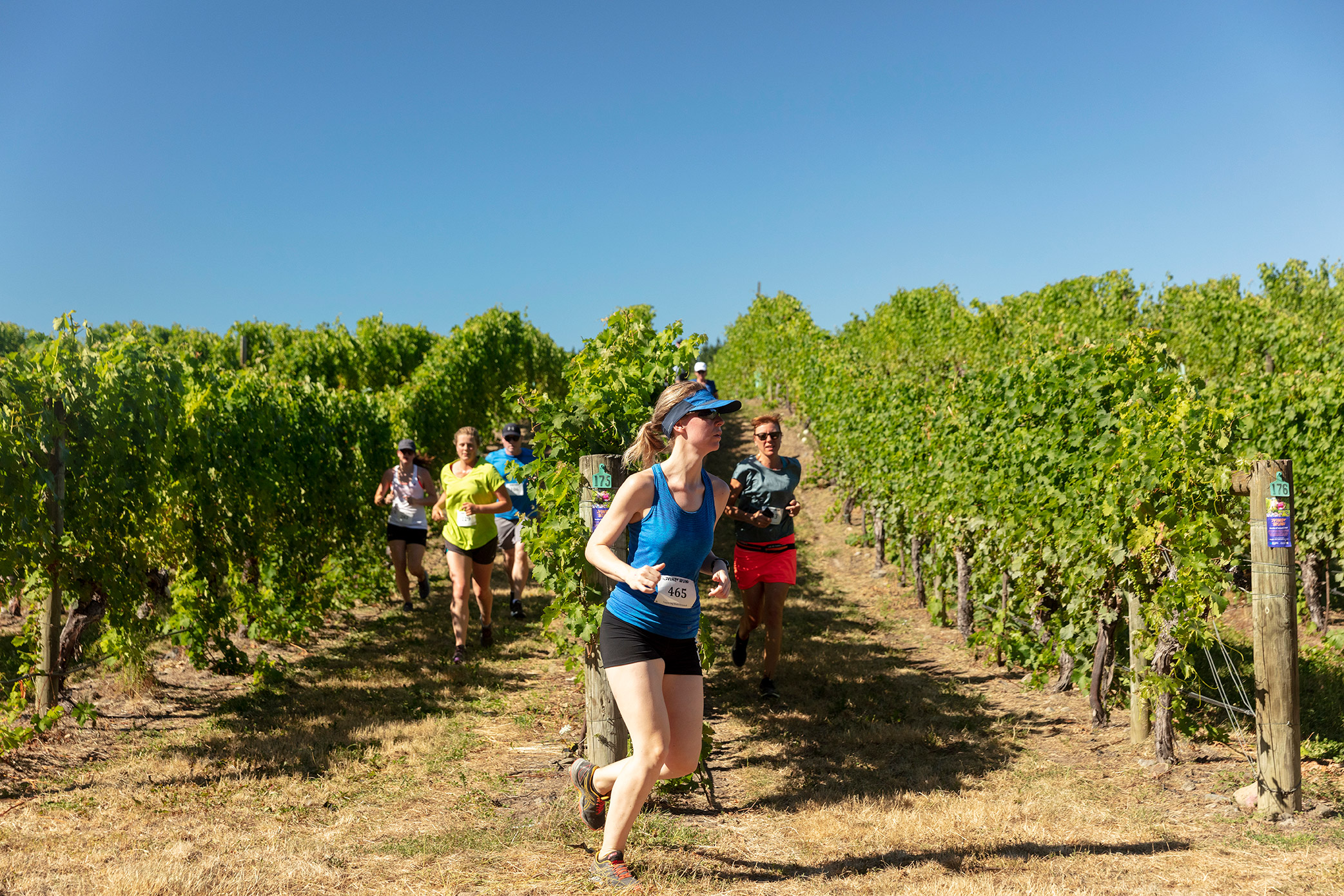 Pegbay_2019_Vinerun_121.jpg
