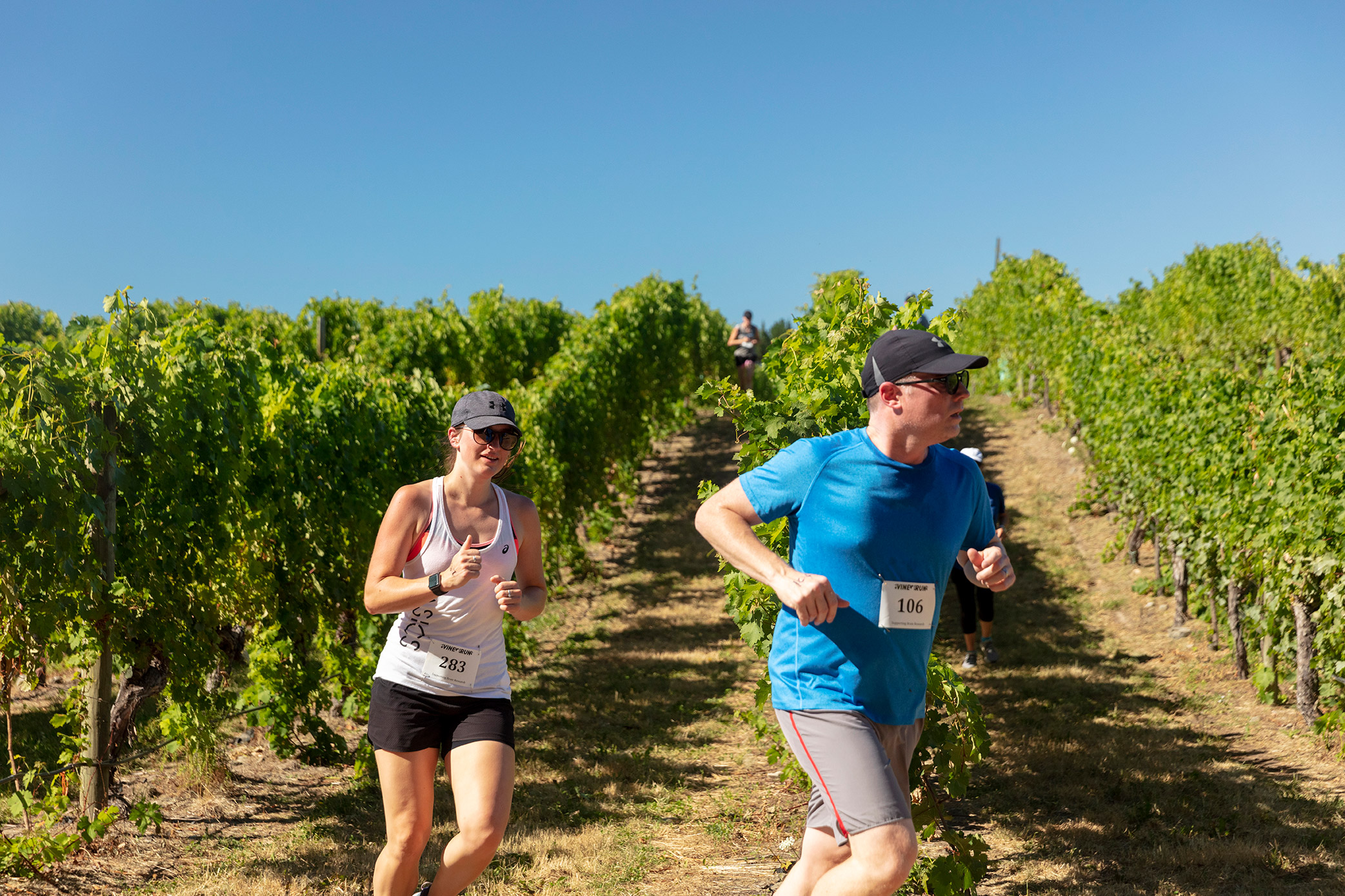 Pegbay_2019_Vinerun_124.jpg