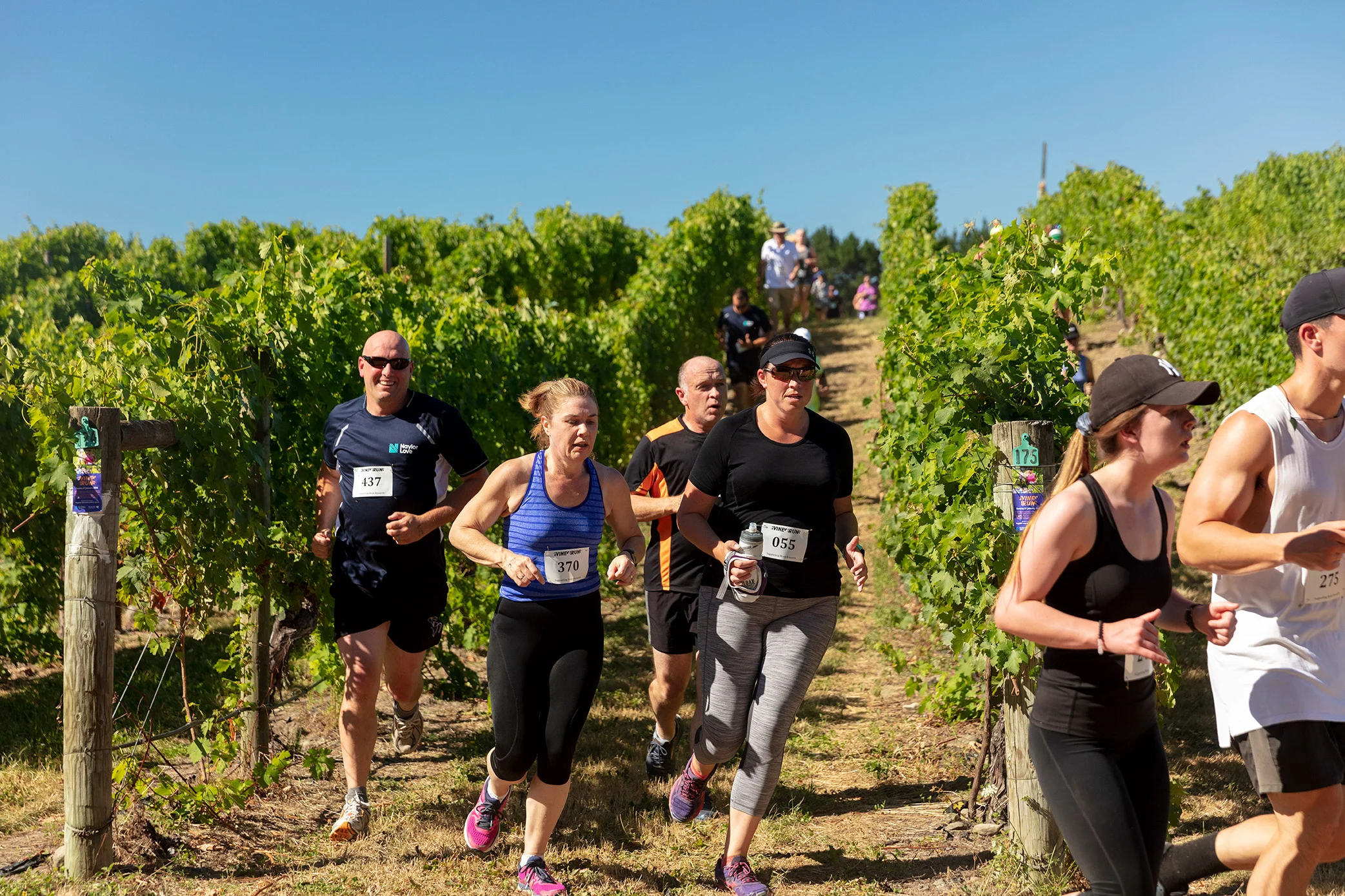 Pegbay_2019_Vinerun_126.jpg