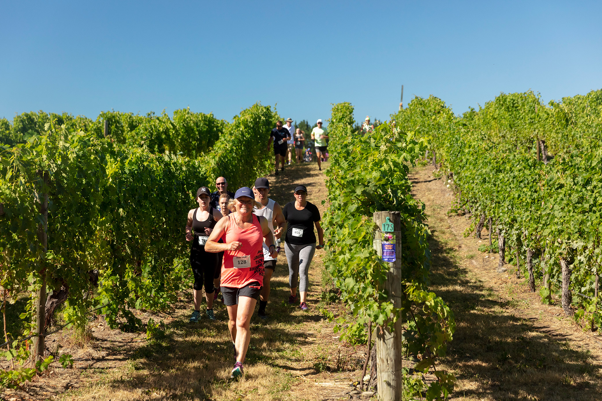 Pegbay_2019_Vinerun_125.jpg