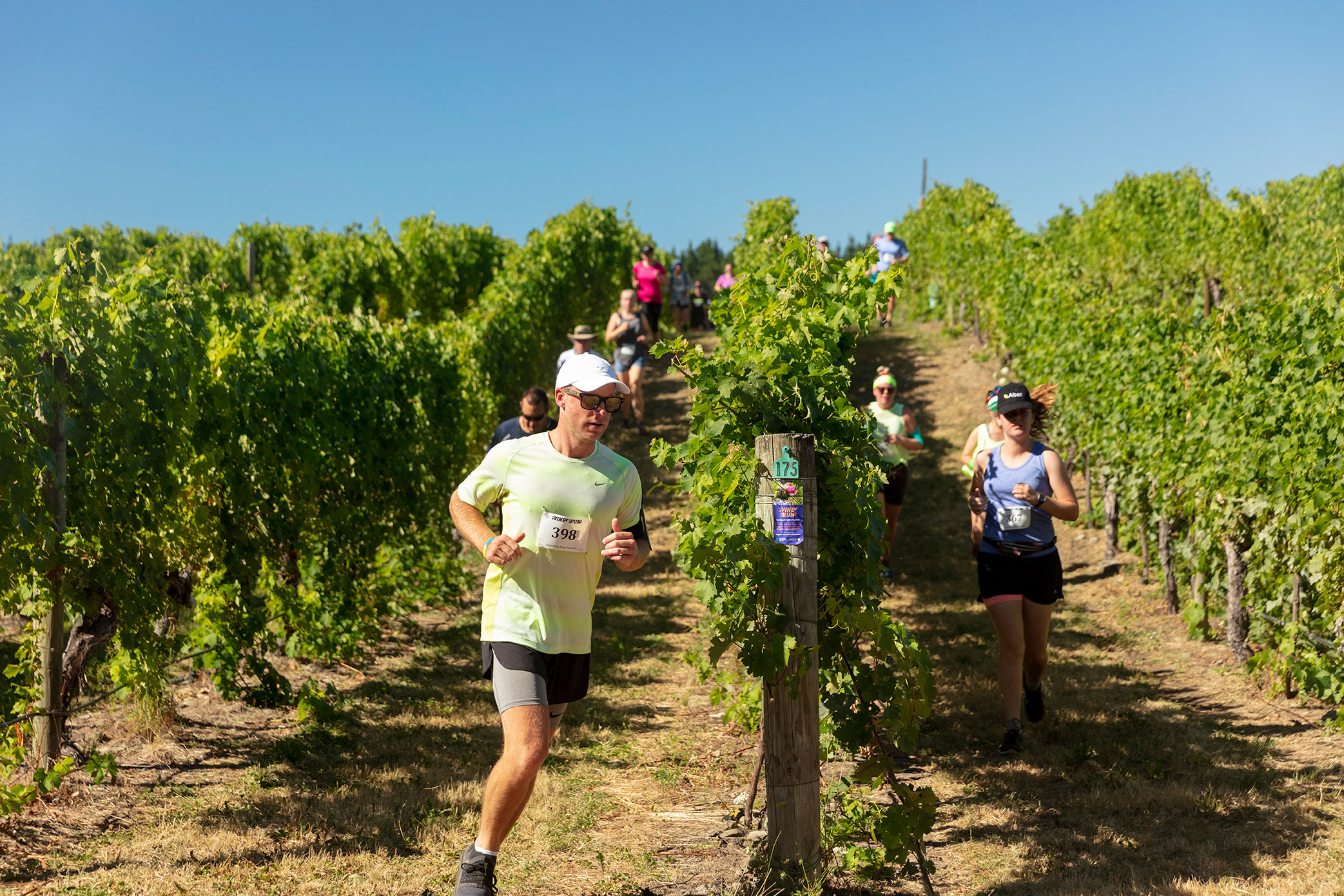 Pegbay_2019_Vinerun_128.jpg