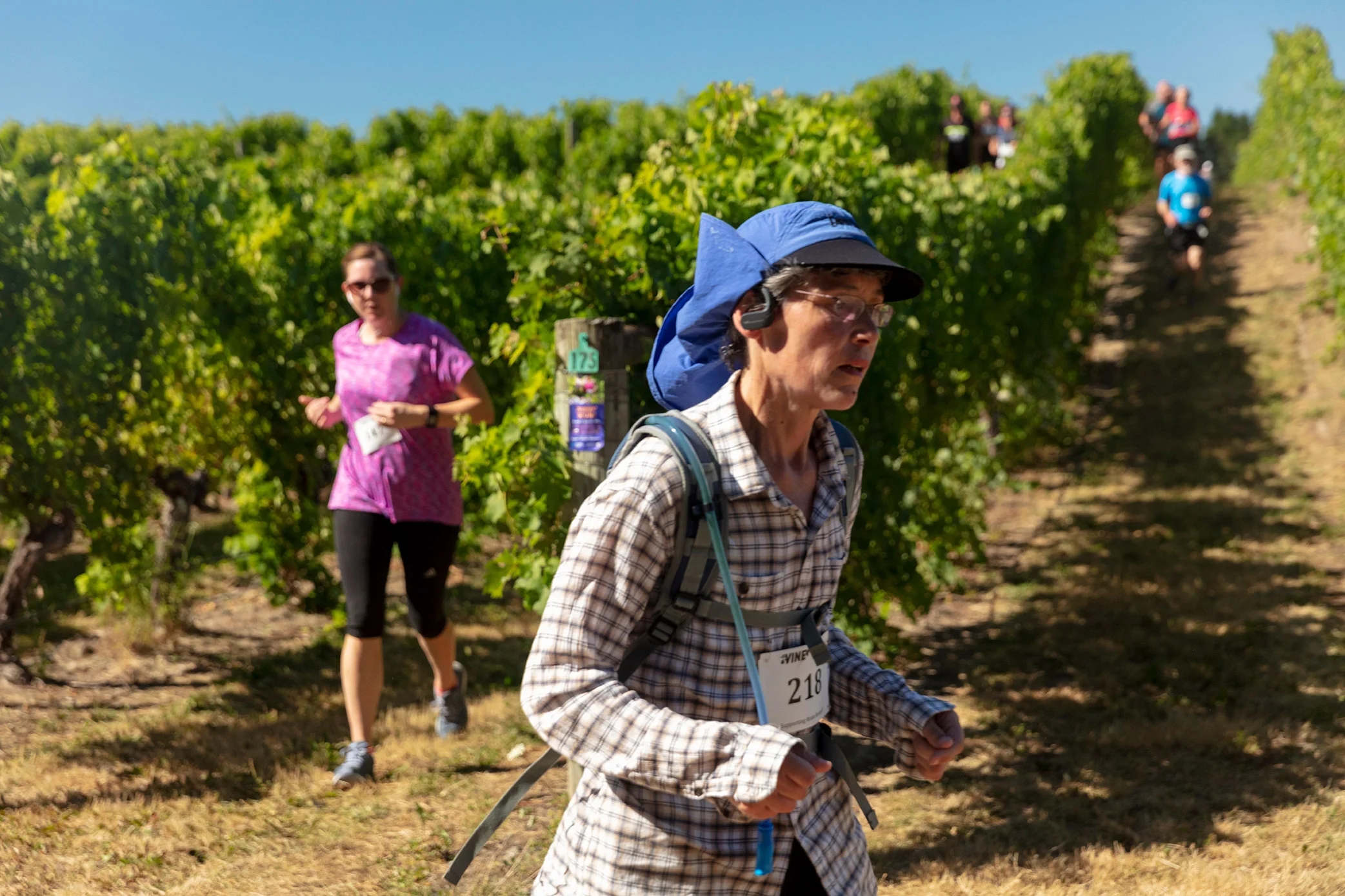 Pegbay_2019_Vinerun_133.jpg