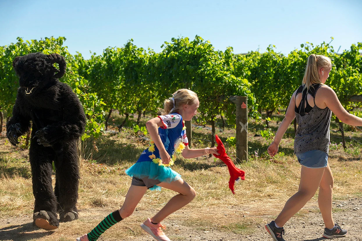 Pegbay_2019_Vinerun_137.jpg