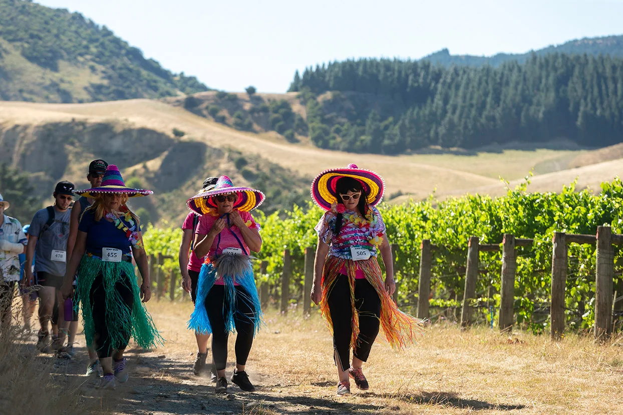 Pegbay_2019_Vinerun_139.jpg