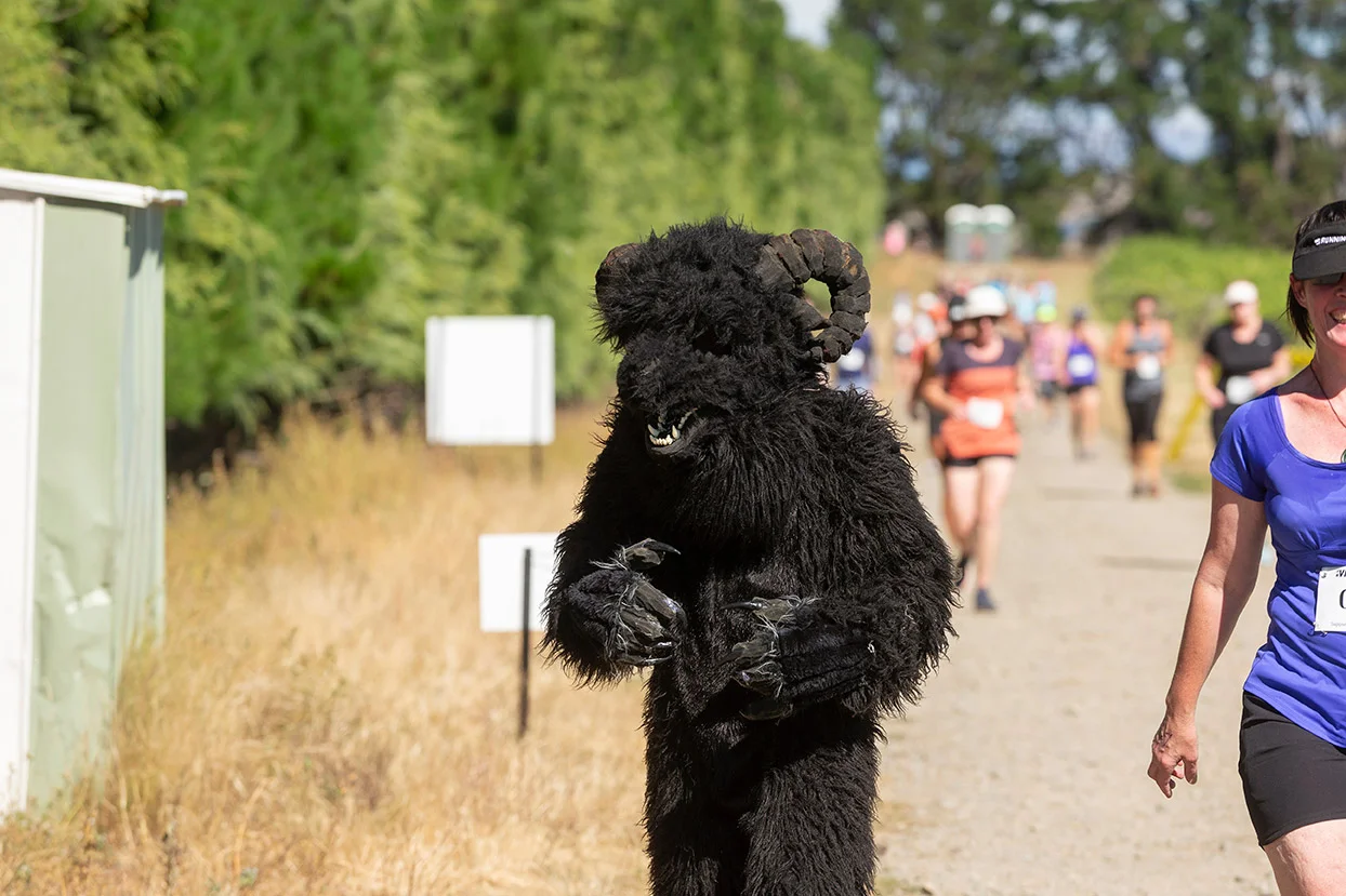 Pegbay_2019_Vinerun_148.jpg