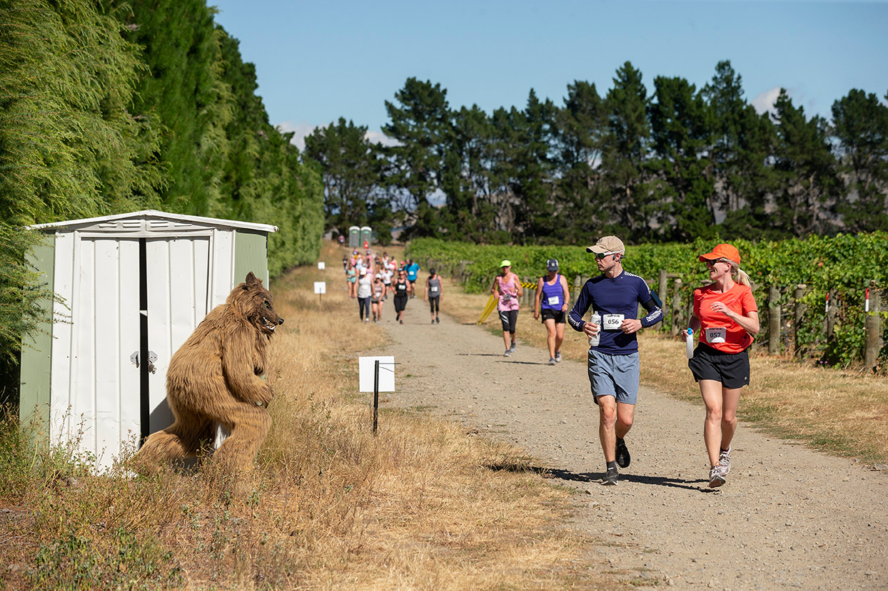 Pegbay_2019_Vinerun_150.jpg