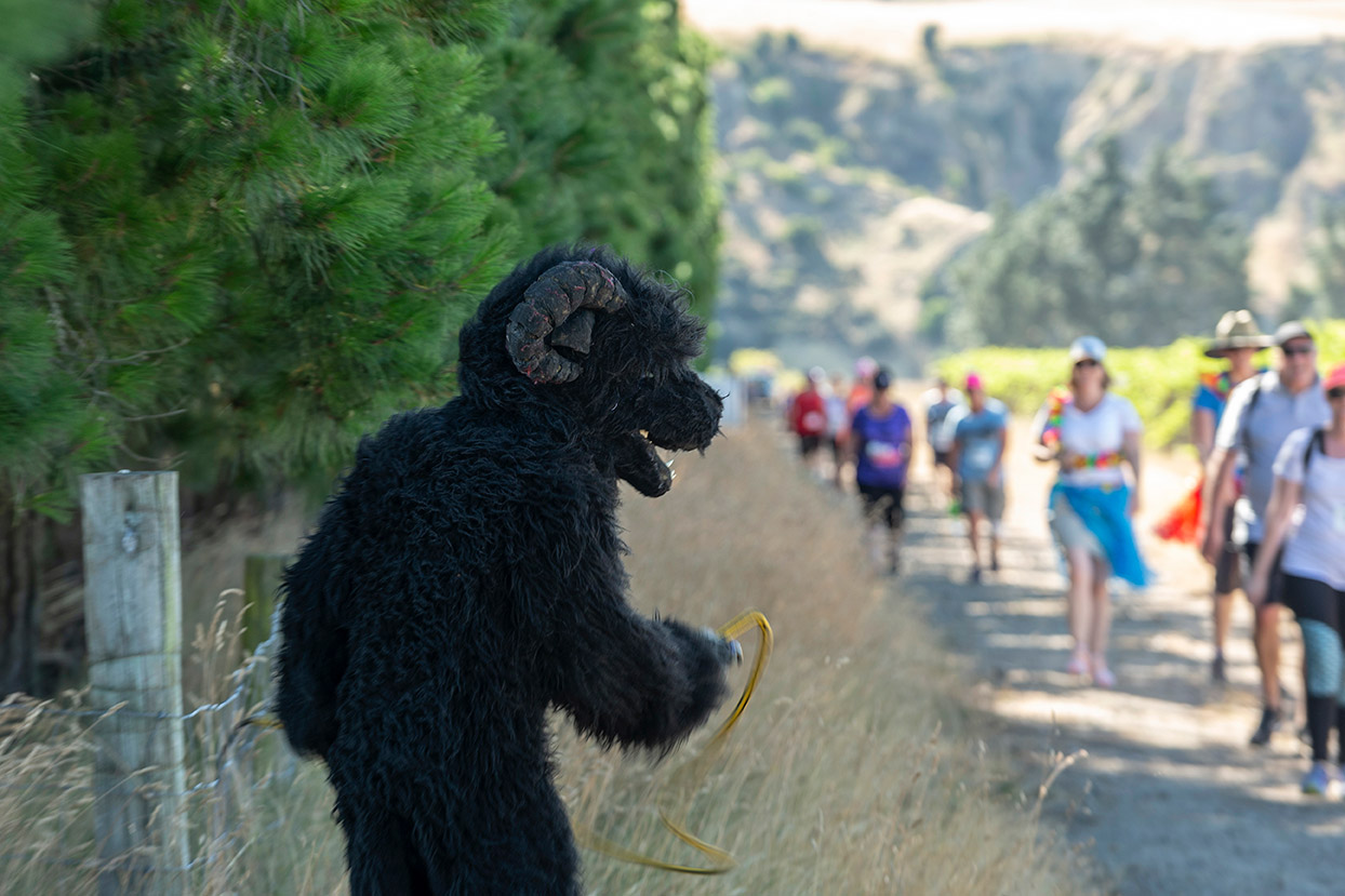 Pegbay_2019_Vinerun_168.jpg