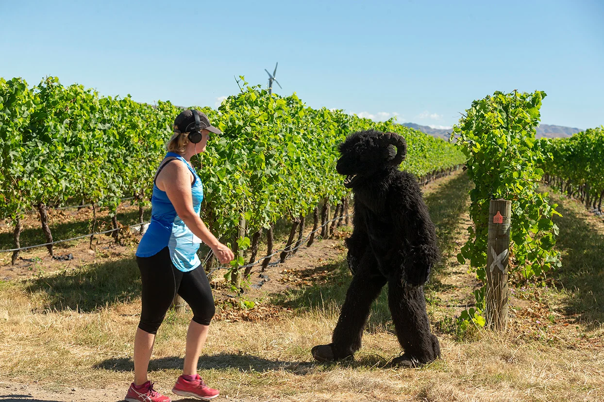 Pegbay_2019_Vinerun_170.jpg