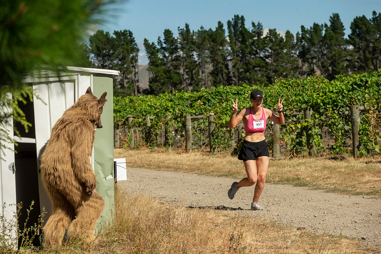Pegbay_2019_Vinerun_171.jpg