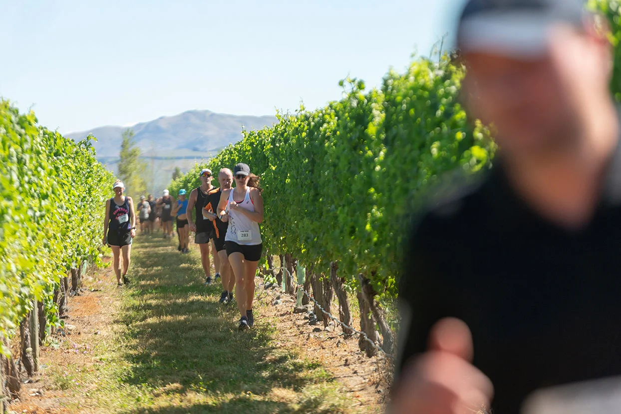 Pegbay_2019_Vinerun_178.jpg