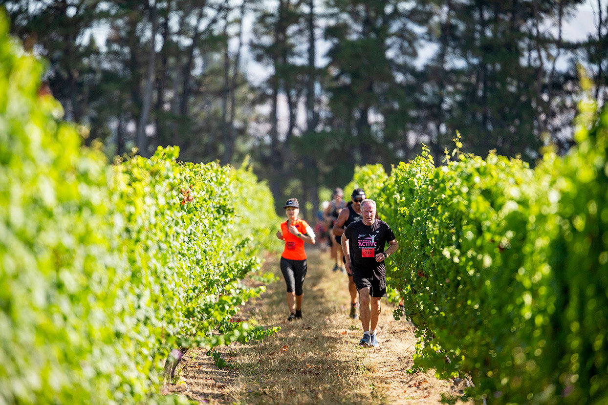 VineRun_2020_DM163.jpg
