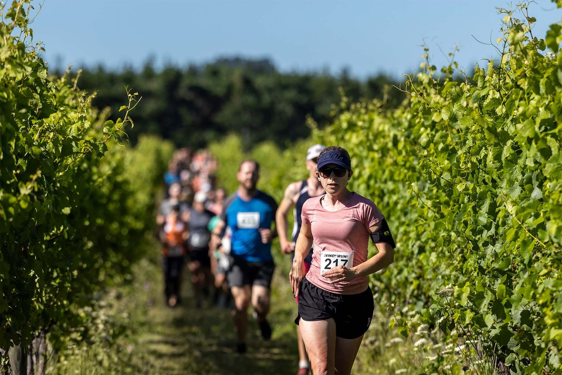 VineRun_2021_DM0209.jpg