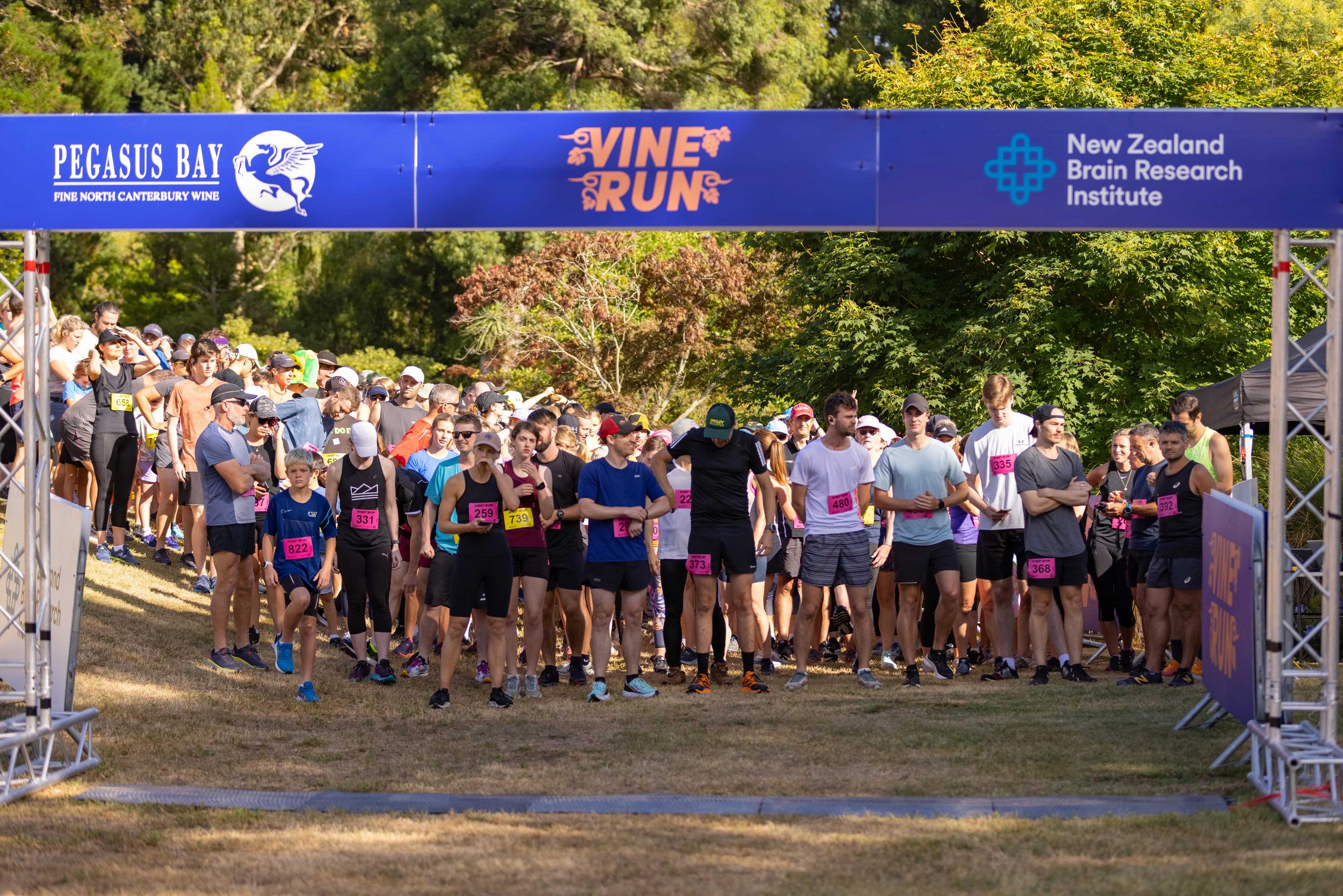Vine-Run-2023-(31).jpg