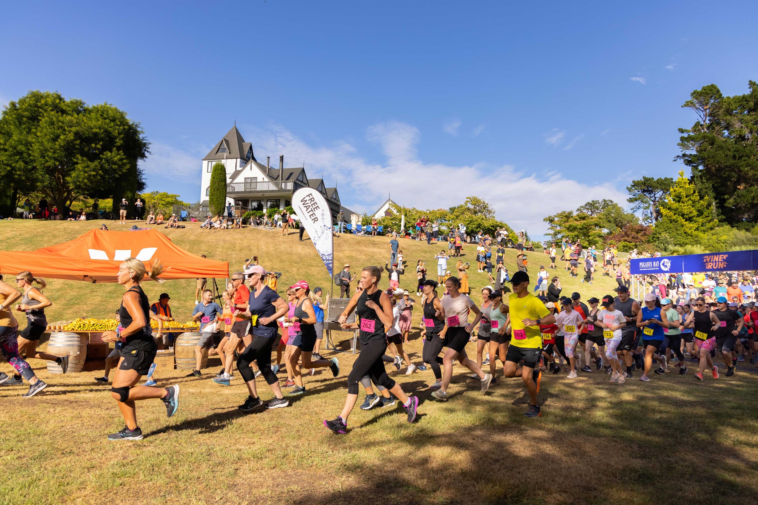 Vine-Run-2023-(40).jpg