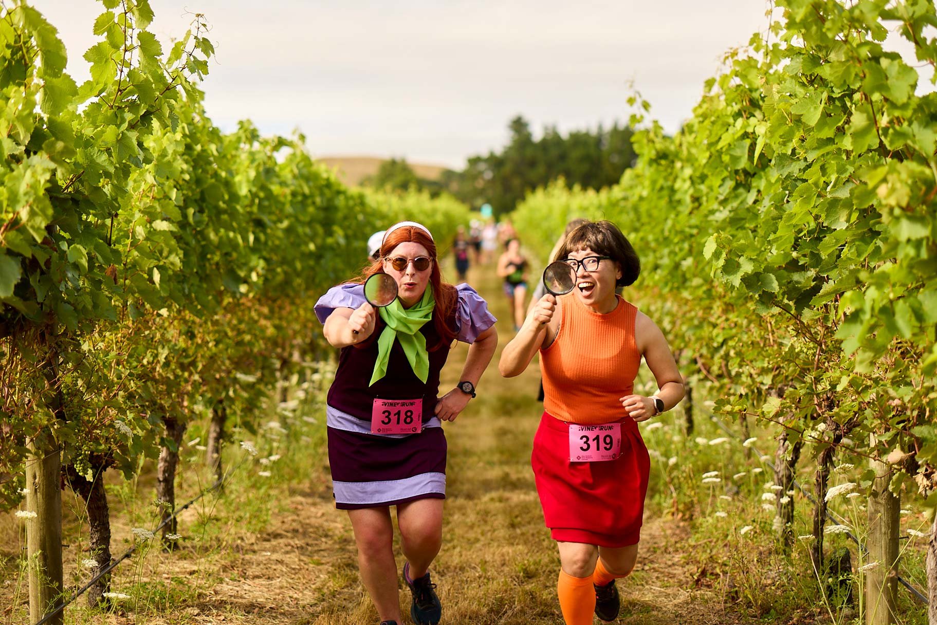 VineRun23_163.jpg