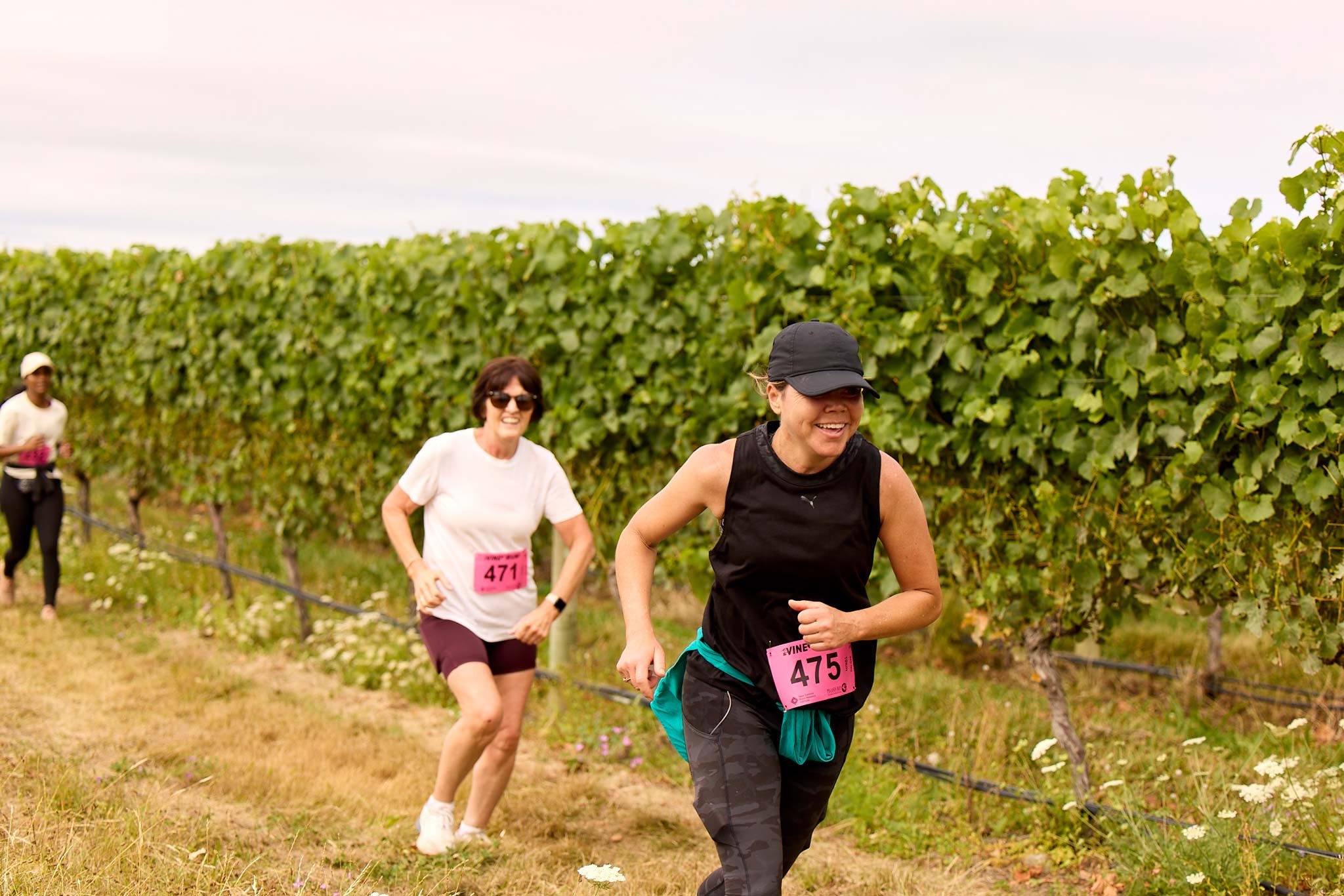 VineRun23_227.jpg