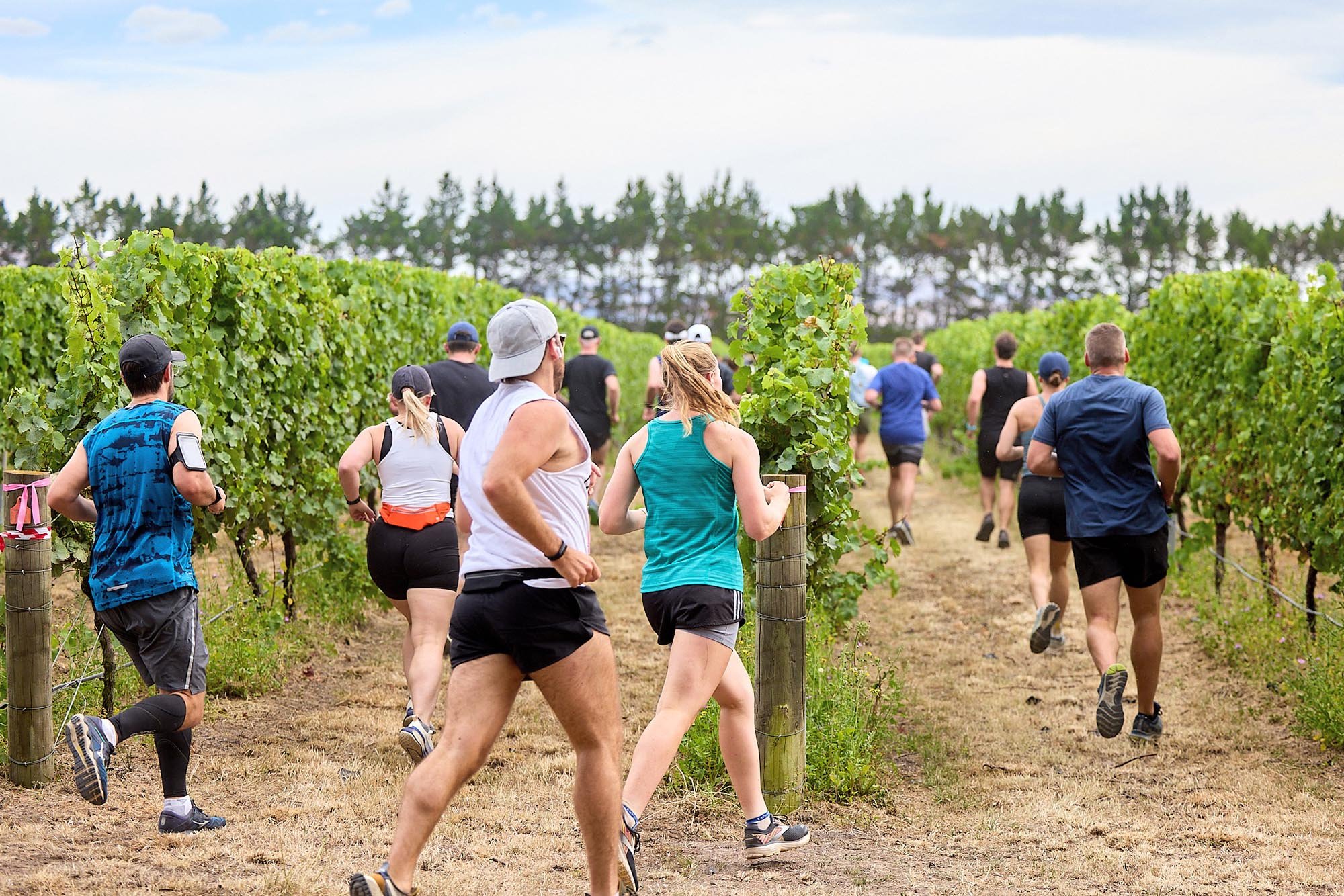 VineRun_24_Deanmackenzie_035.jpg