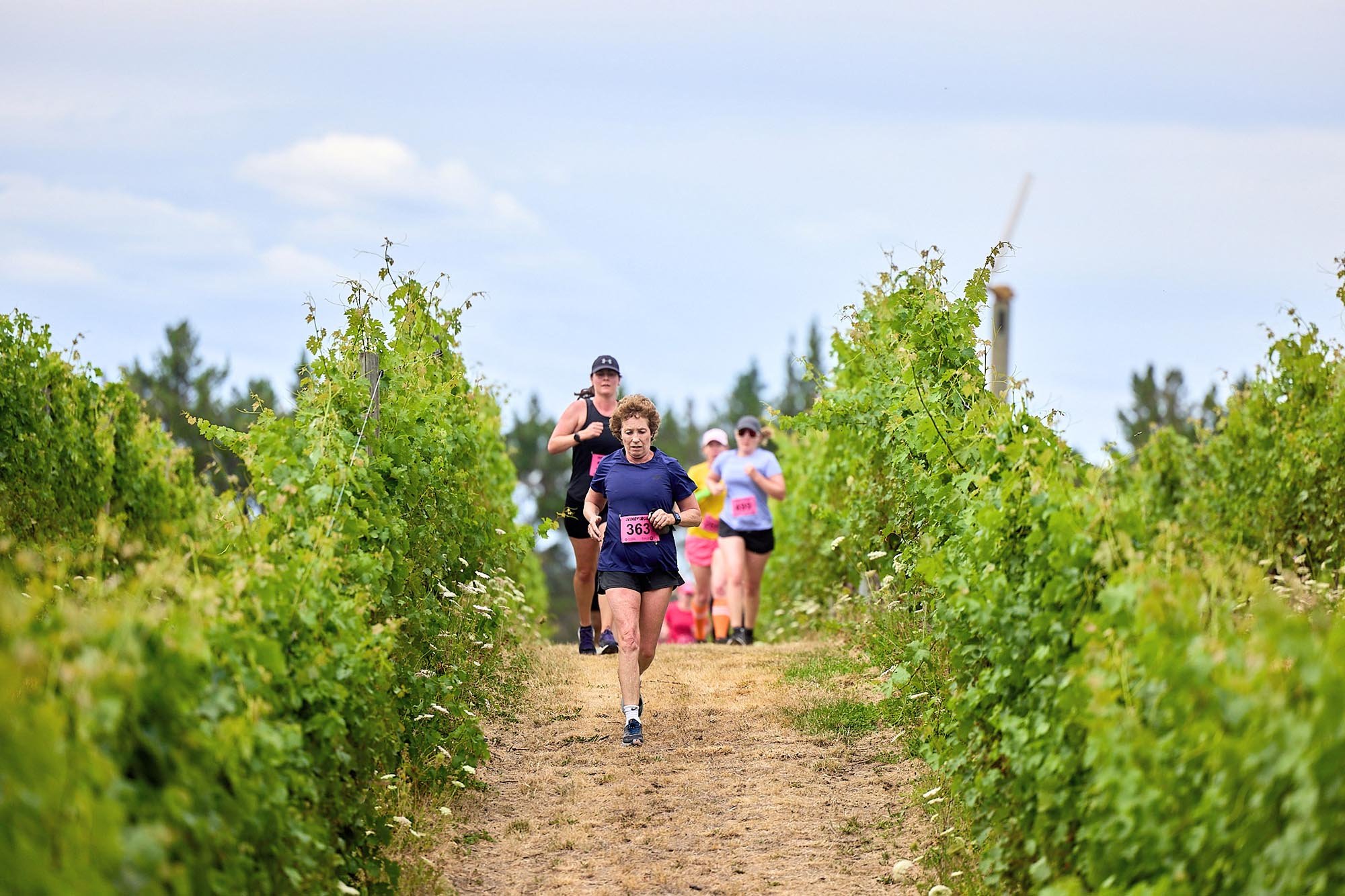 VineRun_24_Deanmackenzie_124.jpg