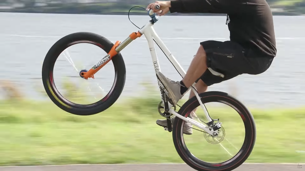 Bmx Freestyle Manual
