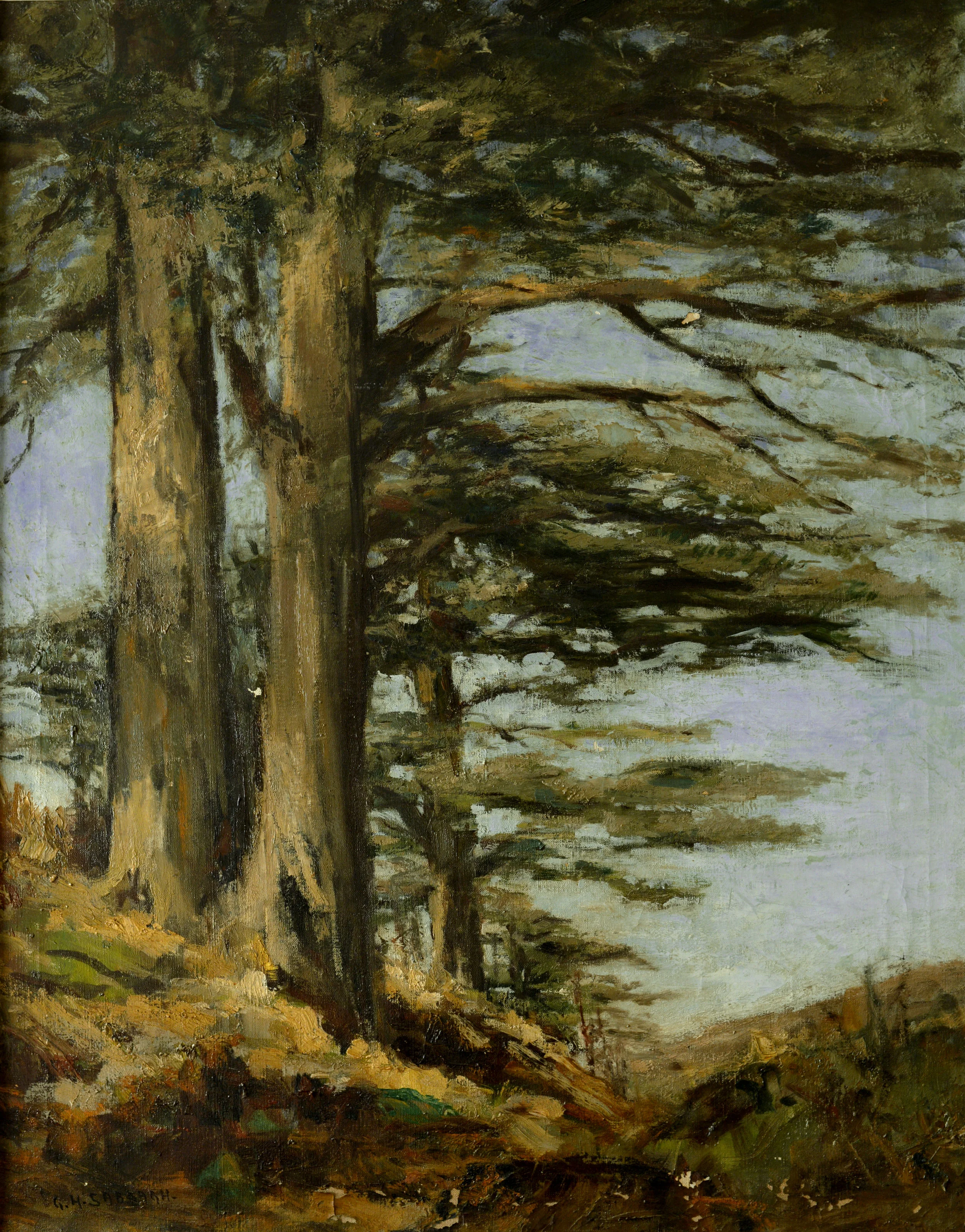 Le Cèdre by Georges Sabbagh