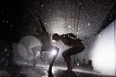 Company Wayne McGregor, Rain Room , 2012. Performance view: Rain Room installation, The Curve, Barbican, London, 2012. Courtesy of Random International. Photo: Sidd Khajuria