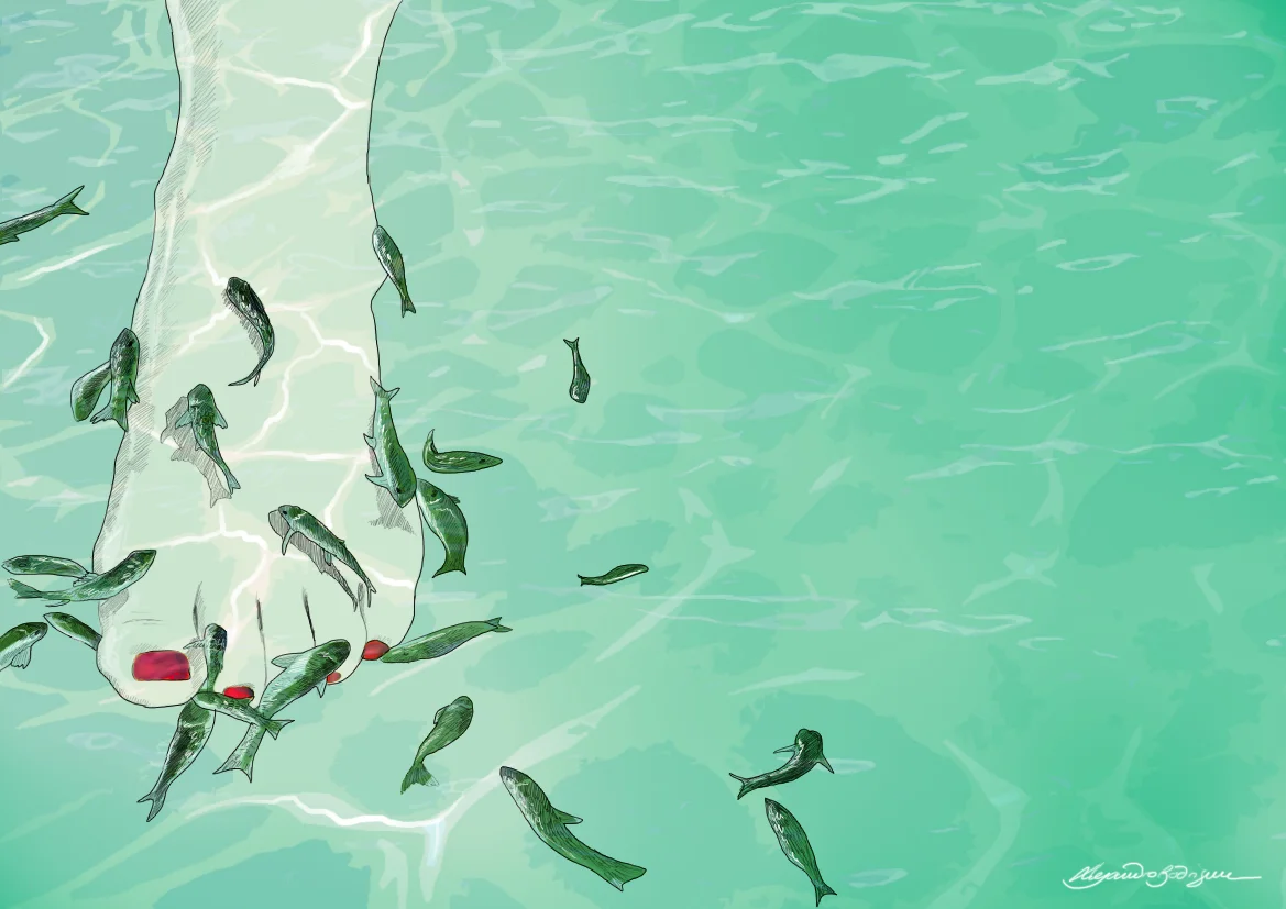 Fish Spa