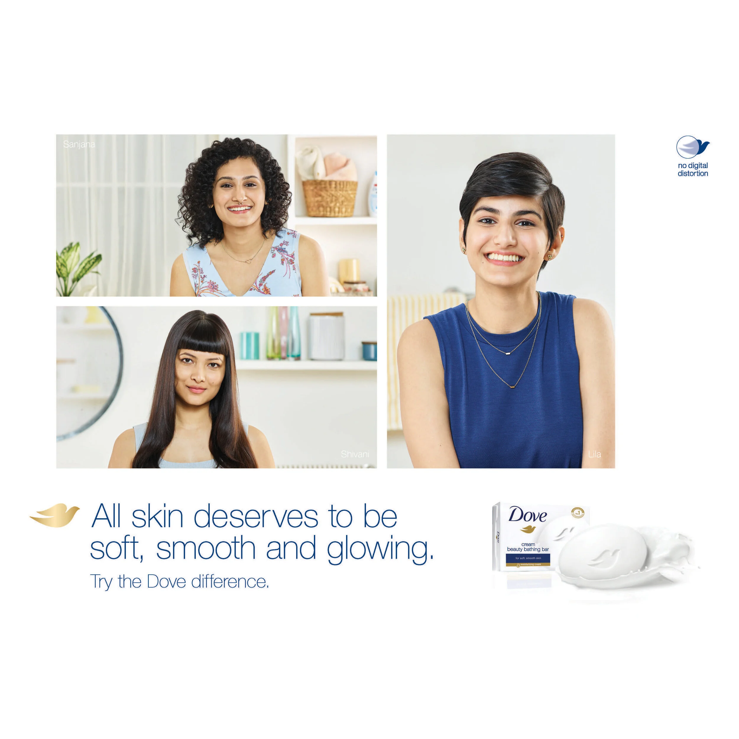 Dove 4.jpg